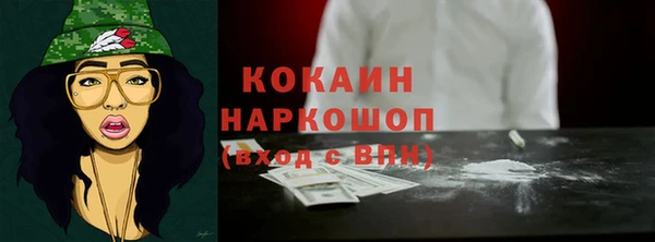 молекула духа Мегион