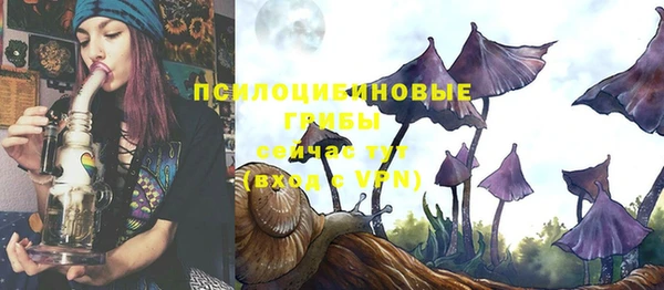 ешки Медвежьегорск