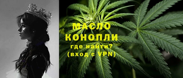 молекула духа Мегион