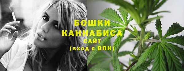 молекула духа Мегион