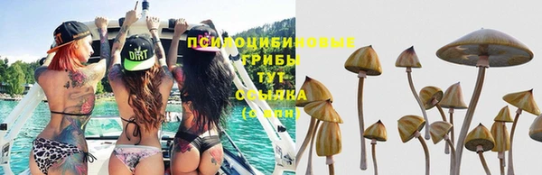 ешки Медвежьегорск